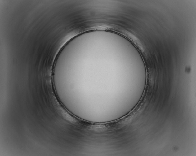 X0000101411186200807281018