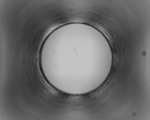 X0000101411187200807281018