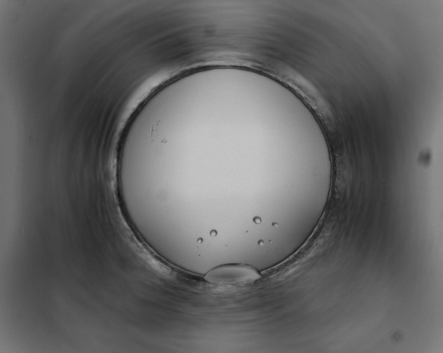 X0000101411188200807281018