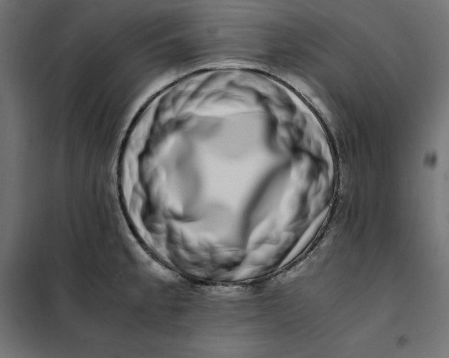 X0000101411189200807281018