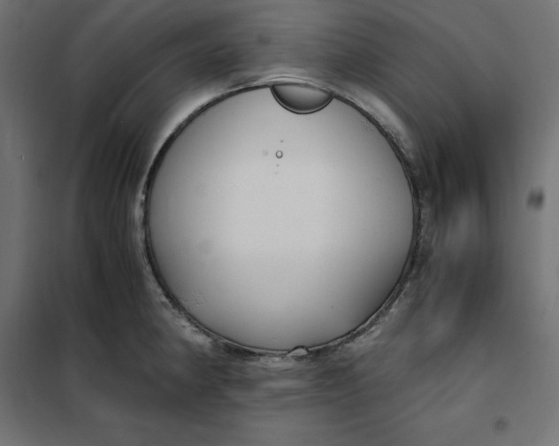 X0000101411190200807281018