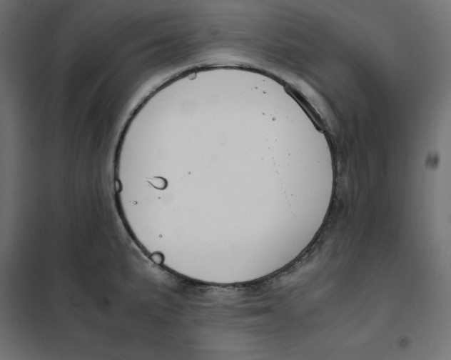 X0000101411191200807281018