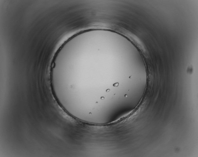 X0000101411192200807281018