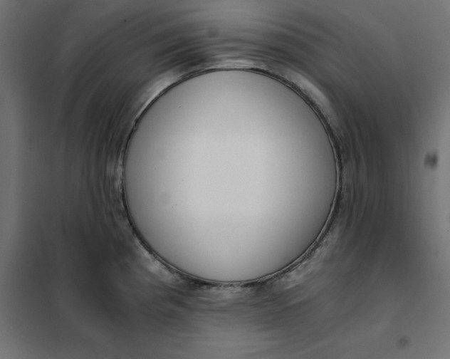 X0000101411193200807281018