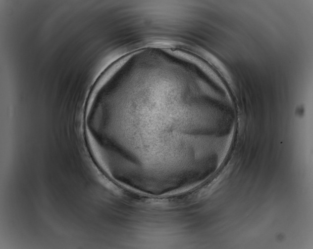 X0000101411194200807281018