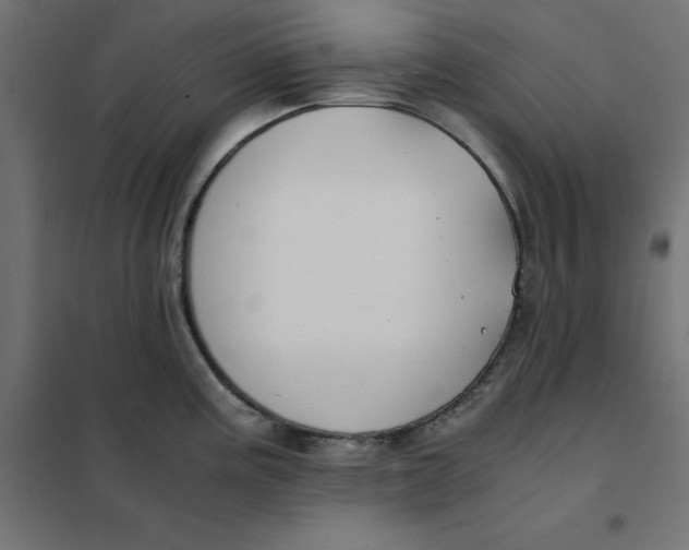 X0000101411195200807281018