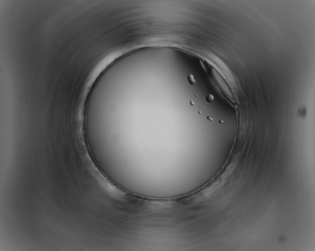 X0000101411196200807281018