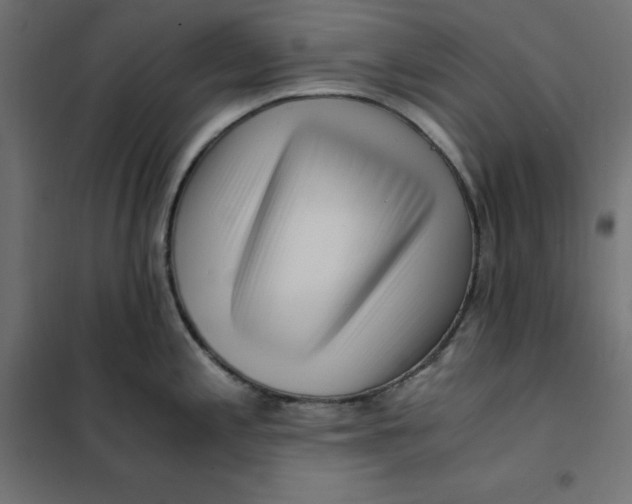 X0000101411197200807281018