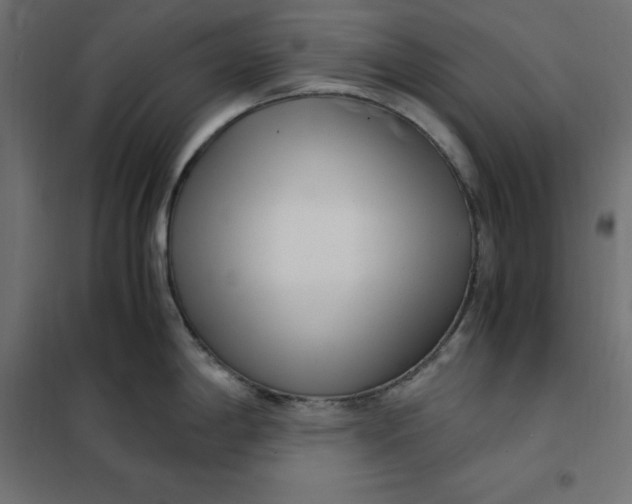 X0000101411198200807281018