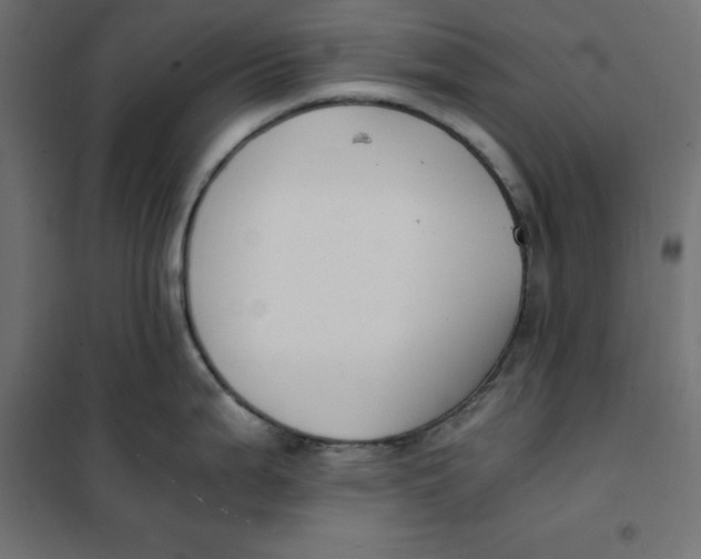 X0000101411199200807281018