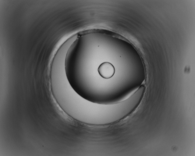 X0000101411200200807281018