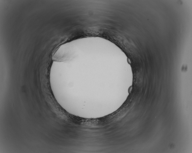 X0000101411201200807281017