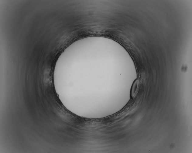 X0000101411202200807281017