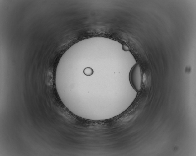 X0000101411203200807281017