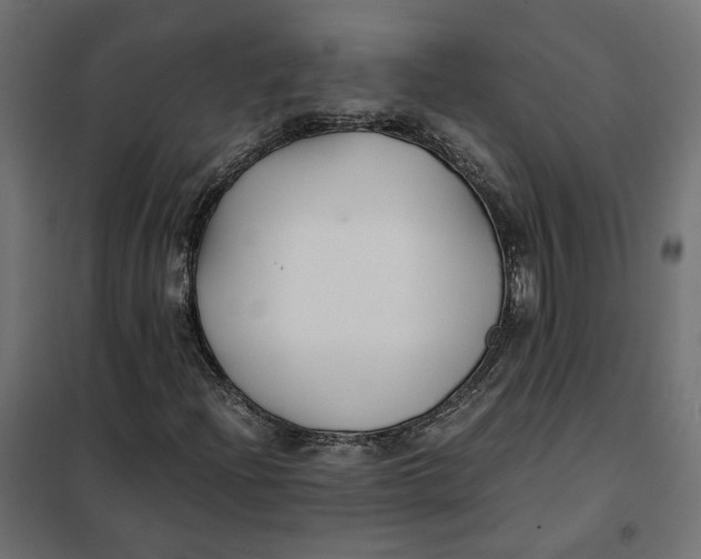 X0000101411204200807281017