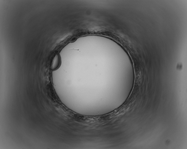 X0000101411205200807281017