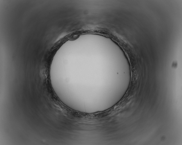 X0000101411206200807281017