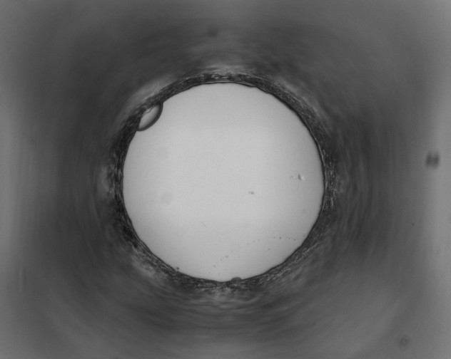 X0000101411207200807281017