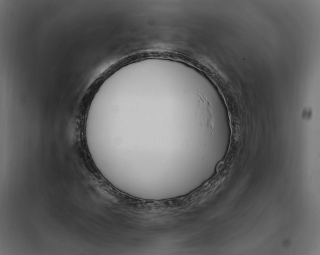 X0000101411208200807281017