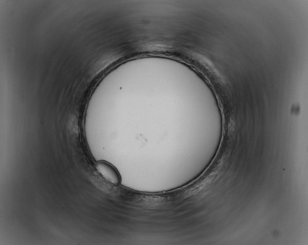 X0000101411209200807281017