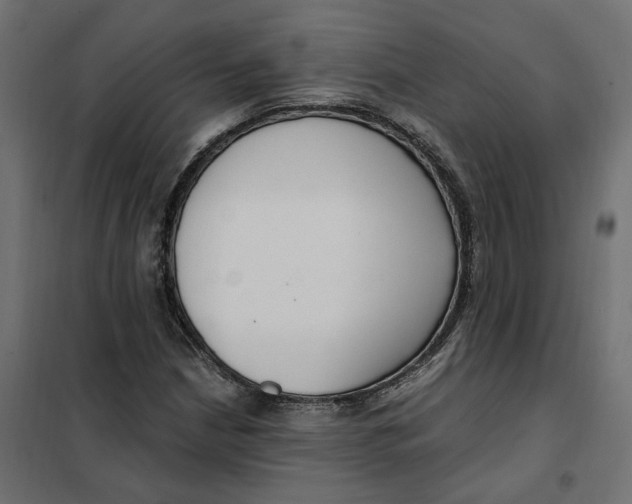 X0000101411210200807281017