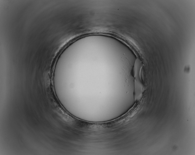 X0000101411212200807281017