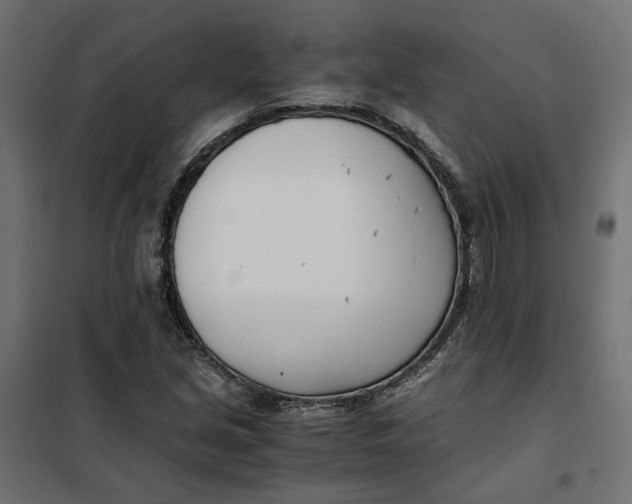 X0000101411213200807281018