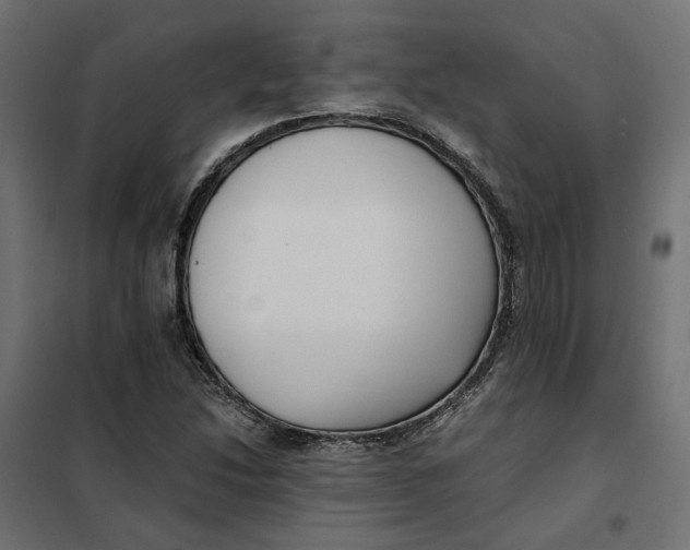 X0000101411214200807281018