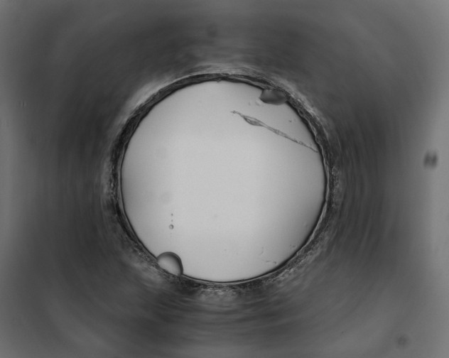 X0000101411215200807281018