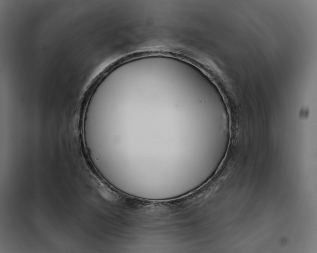 X0000101411216200807281018