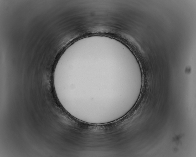 X0000101411217200807281018