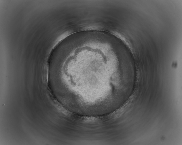 X0000101411219200807281018