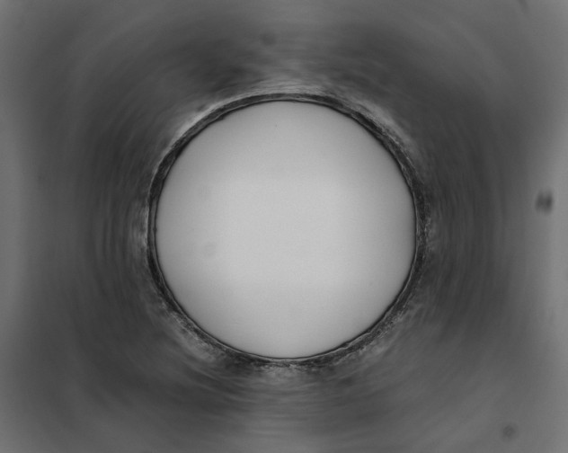 X0000101411220200807281018