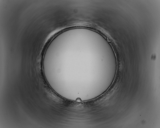 X0000101411222200807281018