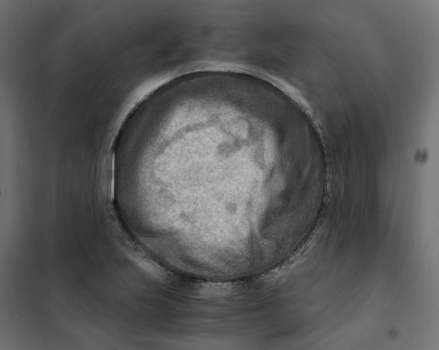 X0000101411223200807281018