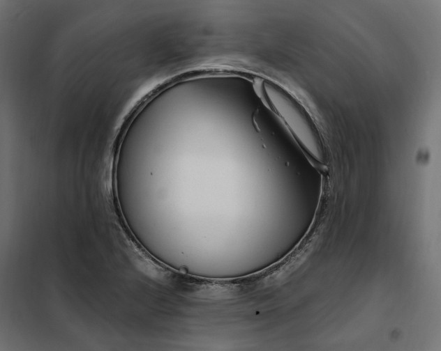 X0000101411224200807281018