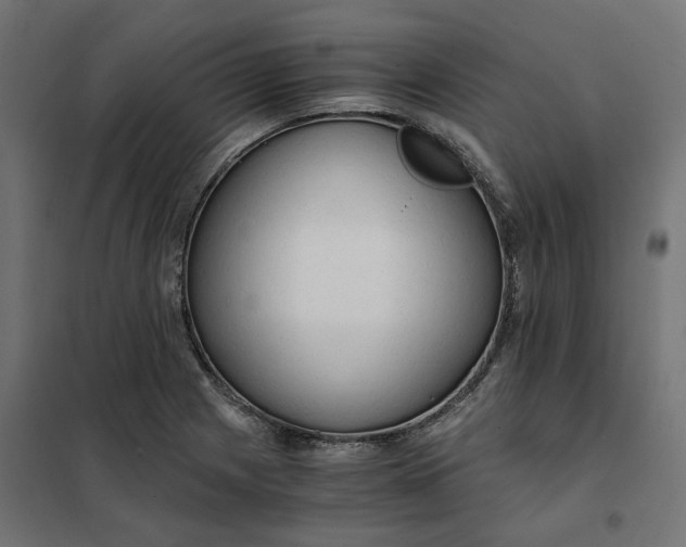 X0000101411225200807281018