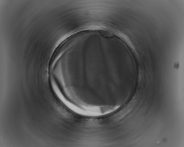 X0000101411226200807281018