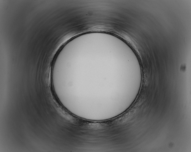 X0000101411227200807281018