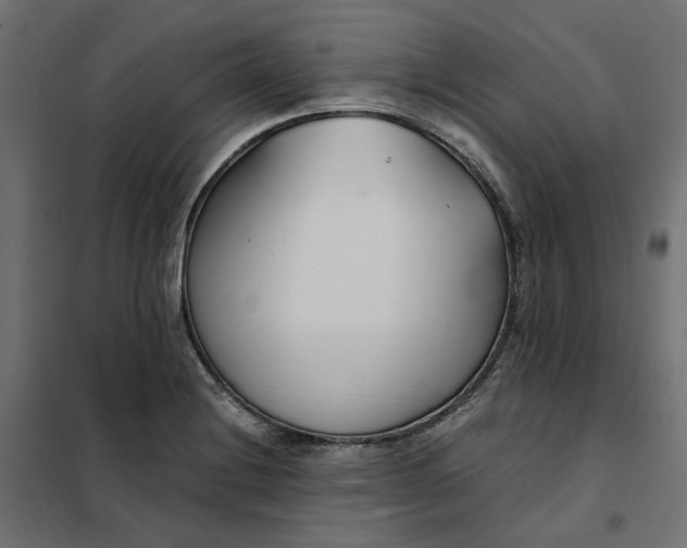 X0000101411228200807281018