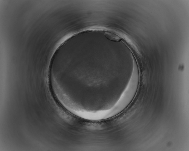 X0000101411229200807281018