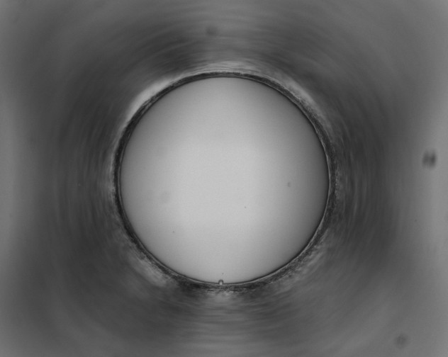 X0000101411230200807281018