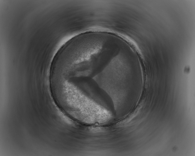 X0000101411231200807281018