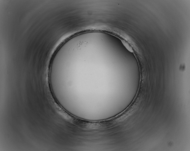 X0000101411232200807281018