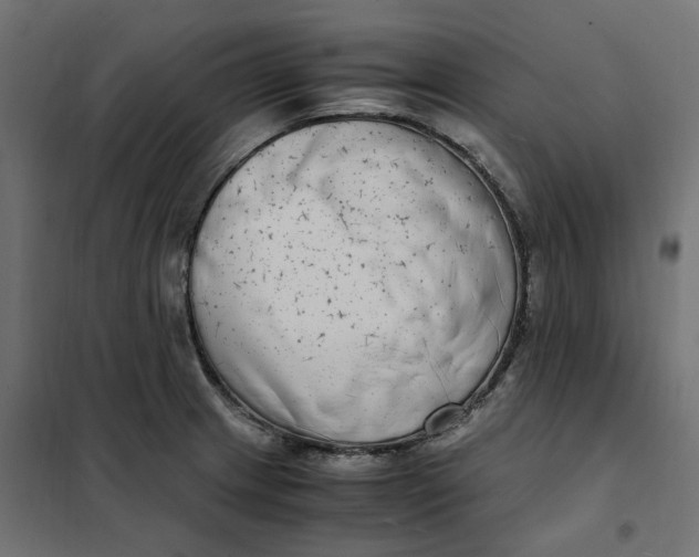 X0000101411233200807281018