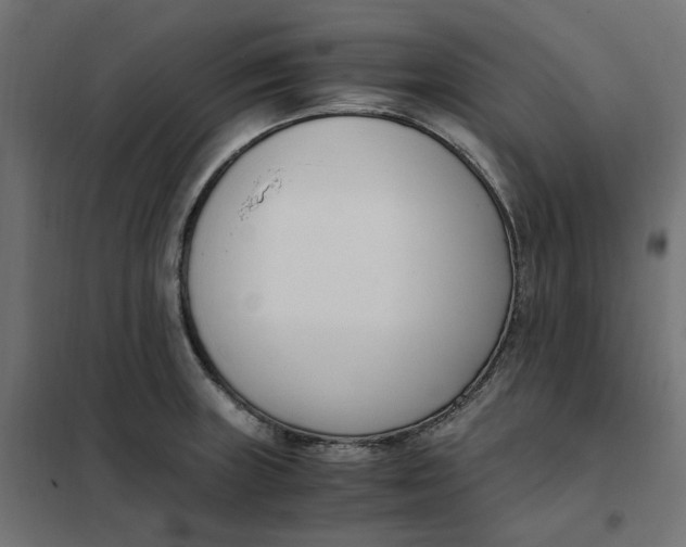 X0000101411235200807281018