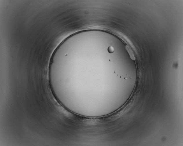 X0000101411236200807281018