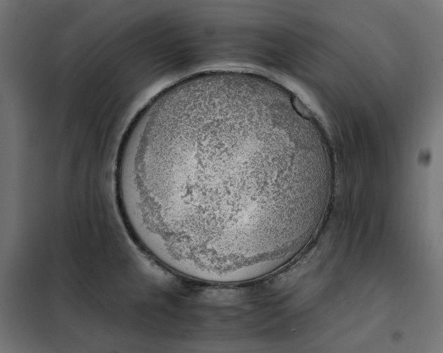 X0000101411237200807281018