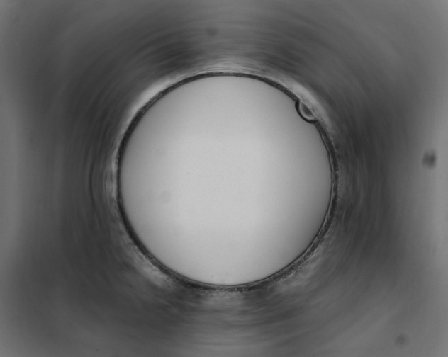 X0000101411238200807281018