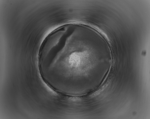 X0000101411239200807281018